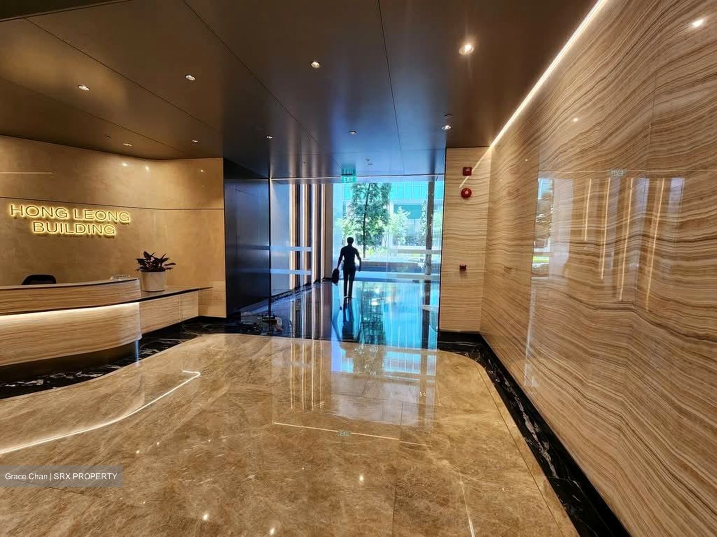 Hong Leong Building (D1), Office #536056141